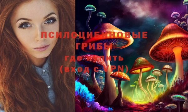 ПСИЛОЦИБИНОВЫЕ ГРИБЫ Балахна